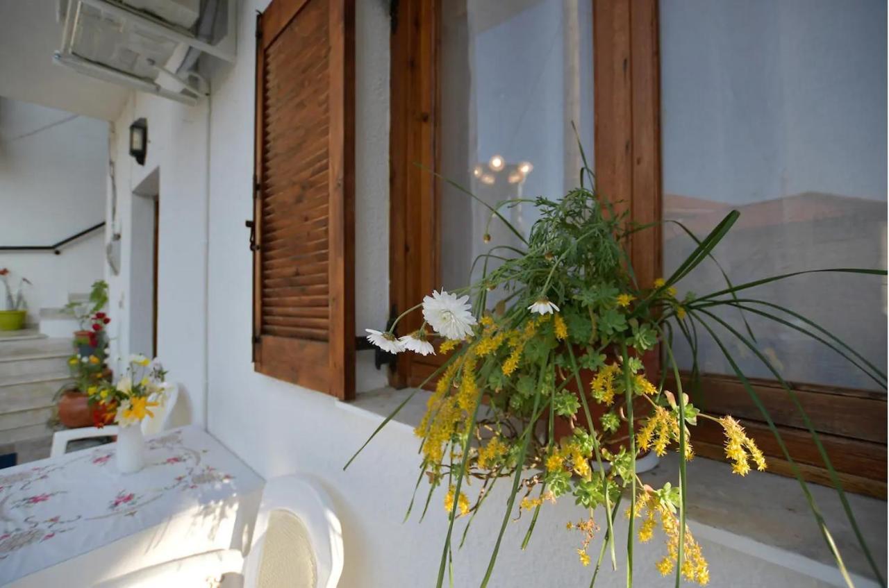 Relaxing Experiences Near Ancient Olympia Apartment Archea Pissa Exterior foto